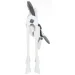    Bambinelli    885585     FG431