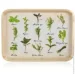  Banquet ϳ Herbs 30x21,5 
