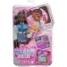  Barbie  Dream Besties (HYC22)
