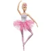 Barbie      HLC25