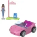  Barbie  MiniLand (HYF38)