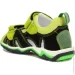 Bartek    .31 16187-018