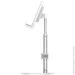 Baseus       Literary Youth Desktop Bracket Silver SUWY-A0S (1570075449)