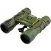  Bassell 22x32 Green