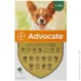 Bayer Капли для собак Advocate 1х0,4 мл от 4 кг 91027 Bayer Капли для собак Advocate 1х0,4 мл от 4 кг 91027
