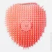  Beauty Line      412430 ( )