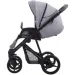  Bebetto Flavio Flowers 02 (815)