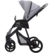  Bebetto Flavio Flowers 02 (815)