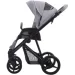  Bebetto Flavio Flowers 02 (815)
