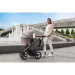  Bebetto Flavio PRO 09 (819)
