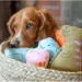 &apos;    Beco Pets   M (5060189756834)