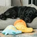 &apos;    Beco Pets    S (5060189756827)