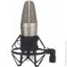 ̳  Behringer B1