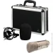 ̳  Behringer B1