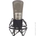 ̳  Behringer B1