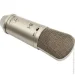 ̳  Behringer B1