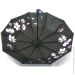 Bellissimo   M639   10      -