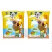  Bestway Surf Buddies  3  6   23  15  (32042)
