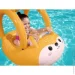  -  Bestway     34168 9466  (DM-34168)