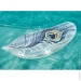 -  Bestway     43188
