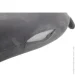 Bewalker    4322  