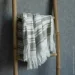  Biltex  AISHA 100x150  