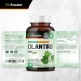   Bio Krauter  -    Cilantro 100  (4384308570)