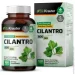   Bio Krauter  -    Cilantro 100  (4384308570)