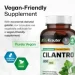   Bio Krauter  -    Cilantro 100  (4384308570)