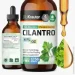   Bio Krauter  -  Cilantro 118  (4384308615)