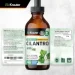   Bio Krauter  -  Cilantro 118  (4384308615)