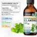   Bio Krauter  -  Cilantro 118  (4384308615)