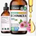   Bio Krauter  -    Echinacea 118  (4384308623)