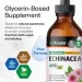   Bio Krauter  -    Echinacea 118  (4384308623)