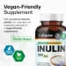   Bio Krauter  -     Inulin 100  (4384308580)