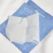 Biodance        Hydro Cera-Nol Real Deep Mask 34 