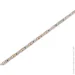 LED    2835-120led-8mm-12V 13,5W/m IP20   BPS G3 BIOM Professional (5908)