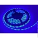 LED  Biom   2835-60led-8mm-12V 4,8W/m IP65  OEM ST (353)