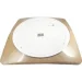 Biom    70W 3000-6000K  / . BT APP SMART (SML-R46-70-M-RGB) BIOM (8411)