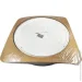 Biom     80W 3000-6000K   / SMART (SML-R42-80/2) BIOM (8403)