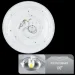   Biom DL-R102-18-6 6200K 18  /
