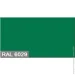 Bionic House    RAL 6029 -  0,8