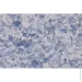 Bioplast г  404 1 