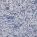 Bioplast г  404 1 