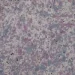 Bioplast   406 1 