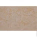 Bioplast   851 1 