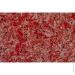 Bioplast г  970 1 