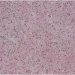 Bioplast г  987 1 