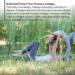   Biotrust     Ageless Collagen Booster 60  (4384307048)