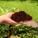 Biovita   Coco Peat balance 5 